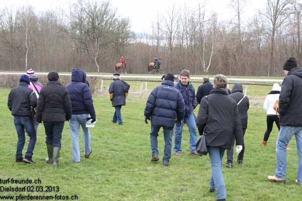 IMG 0053 prot